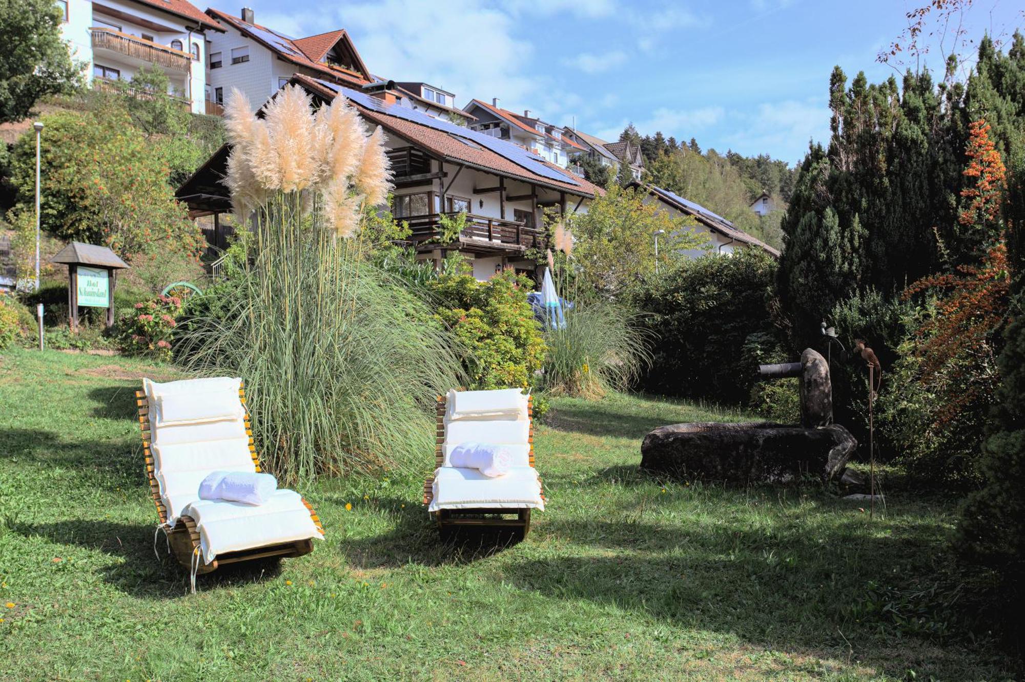 Hotel Schauinsland Bad Peterstal-Griesbach Ngoại thất bức ảnh