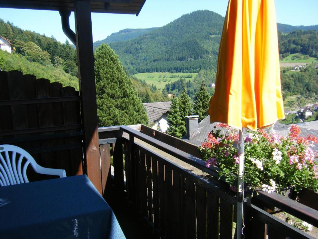 Hotel Schauinsland Bad Peterstal-Griesbach Phòng bức ảnh